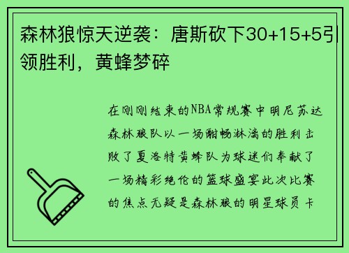 森林狼惊天逆袭：唐斯砍下30+15+5引领胜利，黄蜂梦碎
